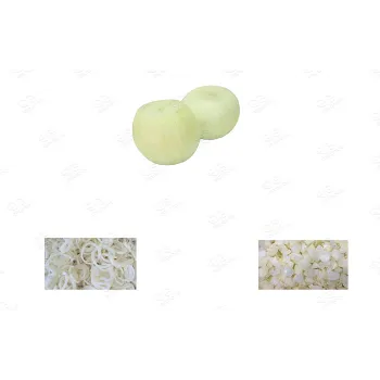 Frozen Onion (49)-6025433-56103.webp